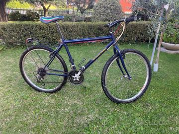 Bicicletta Frecce Tricolori