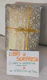 LIBRI A SORPRESA: 2 ROMANZI STORICI + 1 astuccio