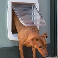 Porticina per finestre per amici gatti e cani