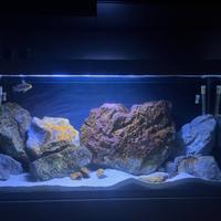 Acquario completo 240 litri askoll emotion pro 120