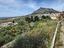 Immagine 27