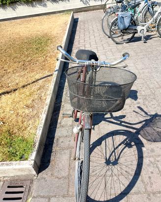 bici da donna