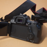 Canon 80d