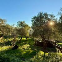 TER. AGRICOLO A CIVEZZA