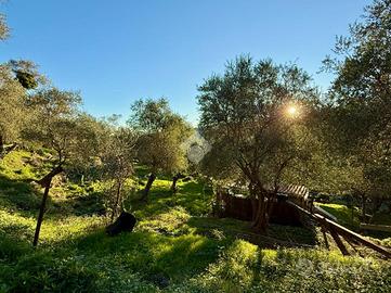 TER. AGRICOLO A CIVEZZA