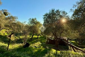 TER. AGRICOLO A CIVEZZA