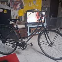 bicicletta GARDA LINE LADY 