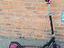 Immagine 4