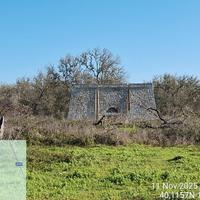 Terreno agricolo uliveto con trullo