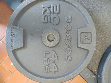 2 Dischi palestra 20 kg