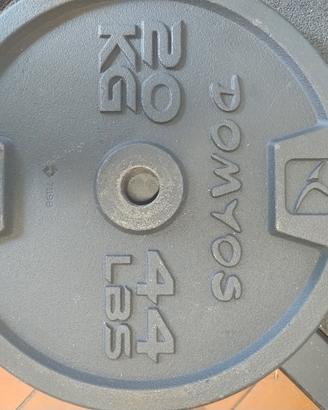 2 Dischi palestra 20 kg