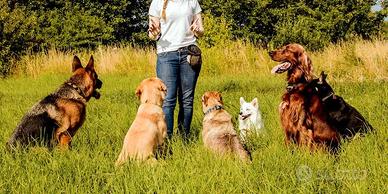 Mediatore Emozionale Relazione Cane Proprietario