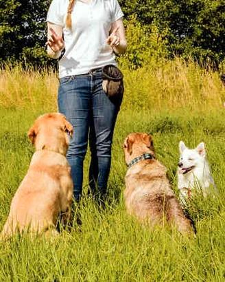 Mediatore Emozionale Relazione Cane Proprietario