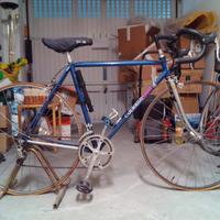 Bici da corsa Colnago sport