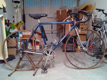 Bici da corsa Colnago sport