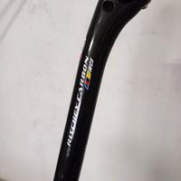 reggi sella carbonio