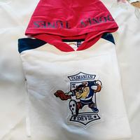 Felpa primaverile bambino-Looney Tunes