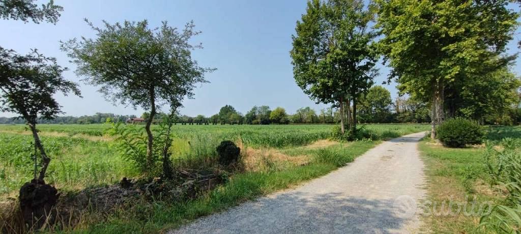 Terreno di 6260 m² a Cologno al Serio - Vista 3