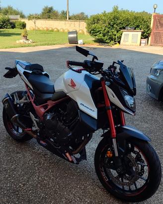 Hornet 750