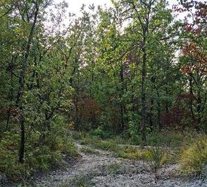 Immobile in asta di 248942 m² a Borgo Priolo