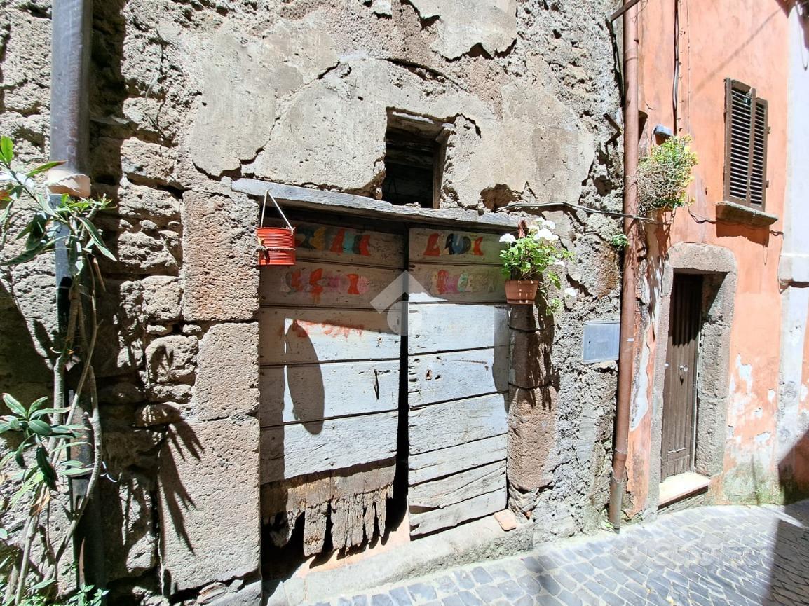 4 LOCALI A CANEPINA - View 3
