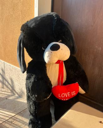 Cane gigante love is in the air