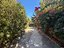 Immagine 23