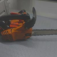 motosega echo potatura carving