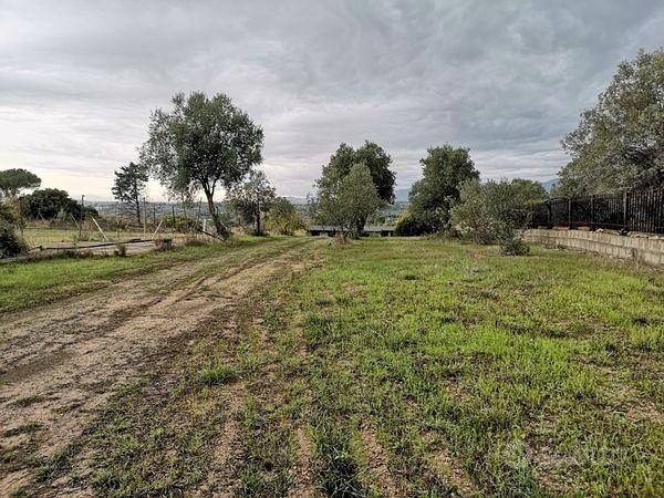 Fabbricato c/2 con ampio terreno agricolo - Vista 3