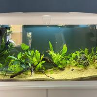 Acquario 100 litri con mobile