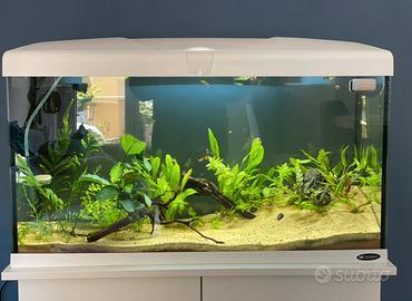 Acquario 100 litri con mobile