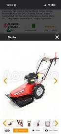Trincia erba motore Honda gcv200