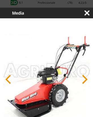 Trincia erba motore Honda gcv200