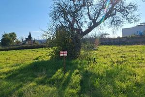 Terreno zona C/2 Cavallino(LE)