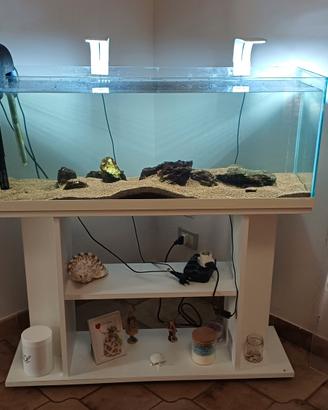 acquario 