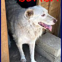 BOMBA dolcissima giovane maremmana ha bisogo di u