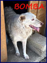 BOMBA dolcissima giovane maremmana ha bisogo di u