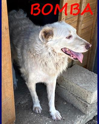 BOMBA dolcissima giovane maremmana ha bisogo di u