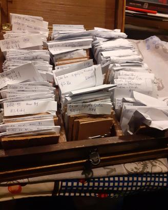 Collezione Monete Italiano