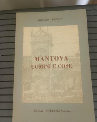 Mantova uomini e cose 
