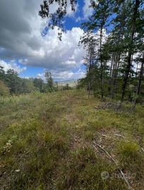 Terreno zona Montemorello