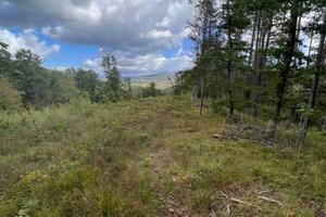 Terreno zona Montemorello