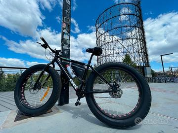 Fat Bike