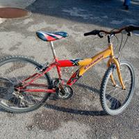 bicicletta per ragazzo 