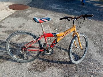 bicicletta per ragazzo 