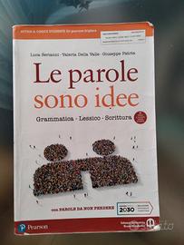 le parole sono idee 9788869106675
