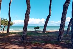 Vacanze al Mare 2 bimbi 2 adulti aria condizionata