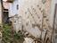Immagine 13
