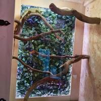 teca per animali rettili o altro