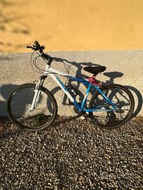 Mountain bike per ragazzo/a